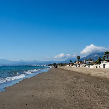 New House 80 M From The