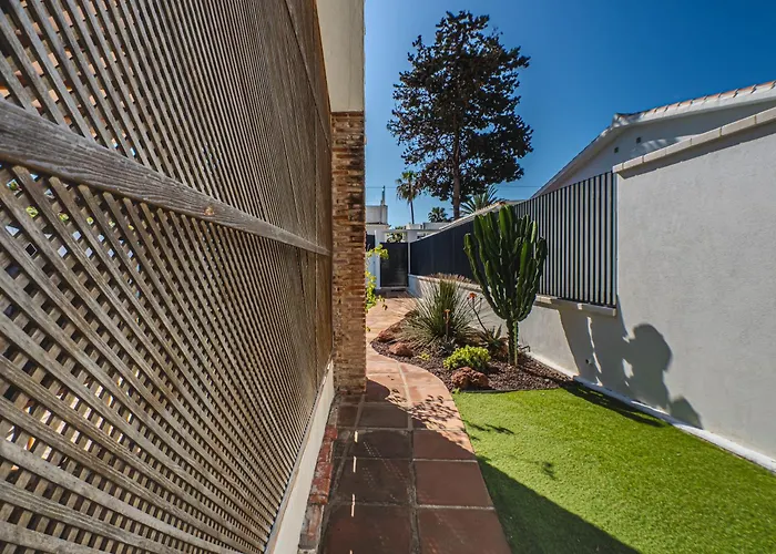 New House 80 M From The